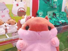 -LLJ夹机占(清河万象汇店)