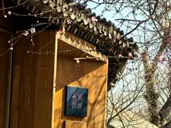 -春风习习