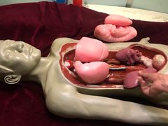 -陕西自然博物馆