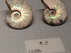 -湖南省地质博物馆