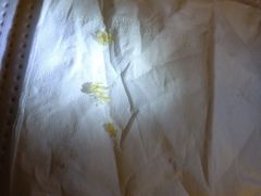 -采耳匠采耳文化体验馆(东门店)