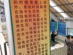 -广东惠东海龟国家级自然保护区