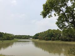 -上海海湾国家森林公园