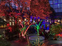 -白家大院·王府宫廷菜(苏州街店)