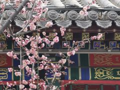 -荣国府