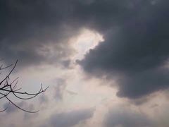 -田心森林公园