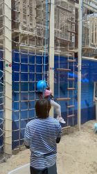 -PIPIKINGDOM皮皮王国欢乐号(欢乐海岸购物中心店)