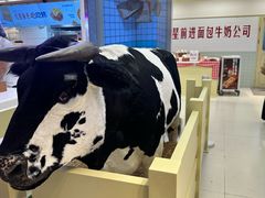 -红星前进面包牛奶公司(君太店)