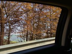-东白山