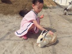 -前小桔亲子创意农场·草莓采摘·露营烧烤