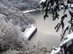 -大围山国家森林公园