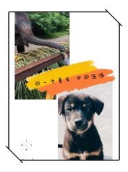 -麦粒鸟亲子游