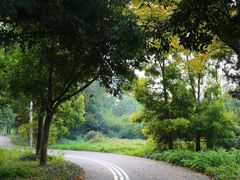 -白鹭湾湿地公园
