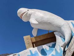-大连老虎滩海洋公园