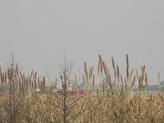 -双山岛