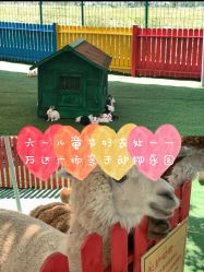 -萌宠亲子动物乐园(槐房万达店)