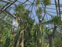 -深圳仙湖植物园