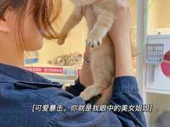 -lincat·猫舍(广州店)