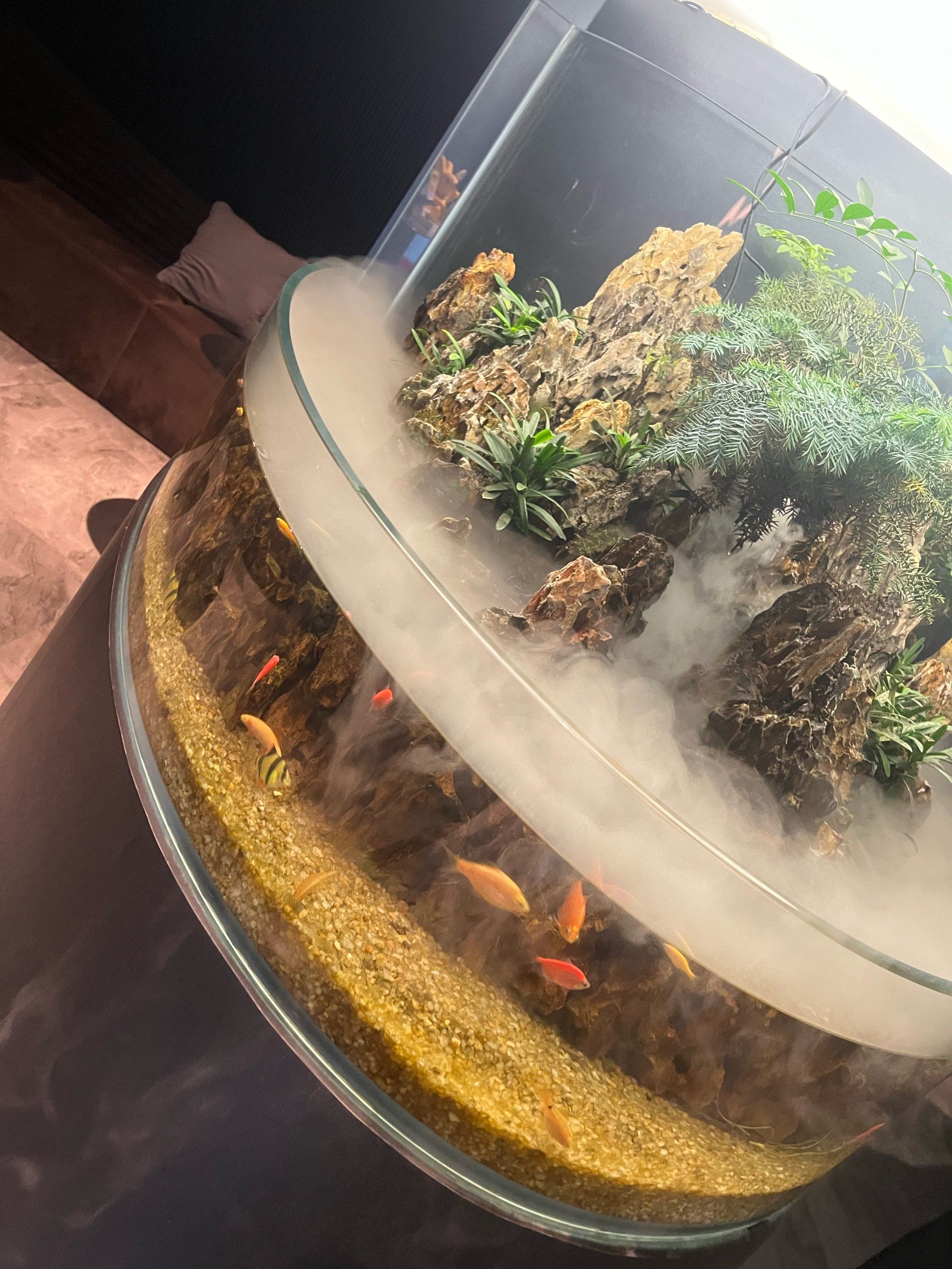 烟雾缭绕的餐桌艺术