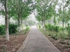 -东郊湿地公园