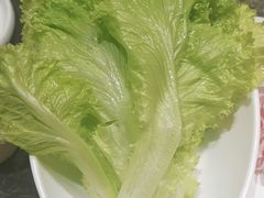 -蒙都43°9羊火锅(平庄店)