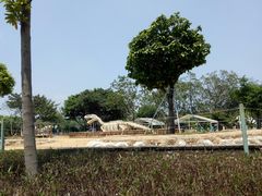 -海珠儿童公园
