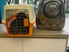 -瑞派康怡24h宠物医院·犬猫医疗中心·微创绝育(瑞景分院)
