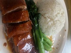 -初心烧鹅(粤华店)