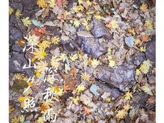 -大连天门山国家森林公园