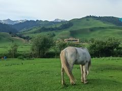 -新疆那拉提国家旅游度假区
