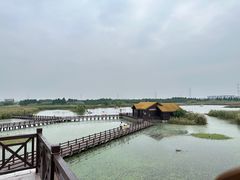 -宁波杭州湾国家湿地公园