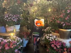 -杭州第一世界大酒店·云曼温泉
