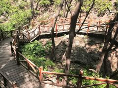 -大岭沟猕猴桃谷风景区