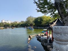-莲湖公园