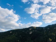 -龙口南山旅游景区