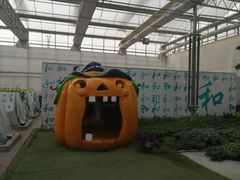 -南和农业嘉年华