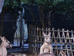 -宁波野生动物园