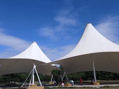 -石家庄市植物园