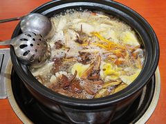 高原土鸡锅-菌之家·专业纯野生菌火锅·特色炒菌