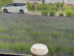 -富田农场