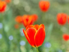 -浙江大学(玉泉校区)