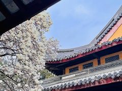 -龙华寺