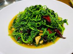 清炒南瓜尖-黄泥岗·地道湖北菜(奥特莱斯店)