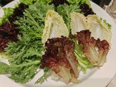-澳门豆捞(裕华东路店)