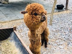 -西部长青自然儿童乐园