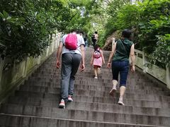 -石老人观光园