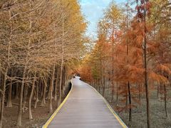 -上海崇明金茂凯悦酒店