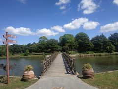 -上海鲜花港