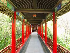 -南汇桃花村