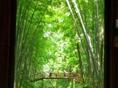 -同里国家湿地公园